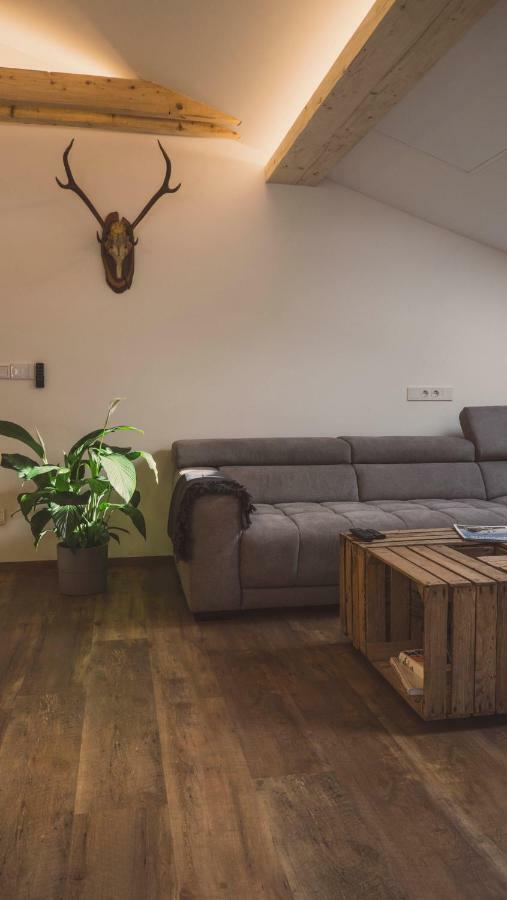Apartment Ninetyfour Annaberg im Lammertal Ngoại thất bức ảnh