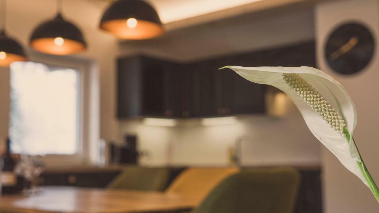 Apartment Ninetyfour Annaberg im Lammertal Ngoại thất bức ảnh